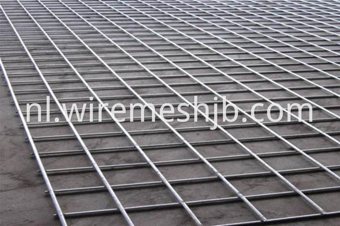 Steel Wire Mesh